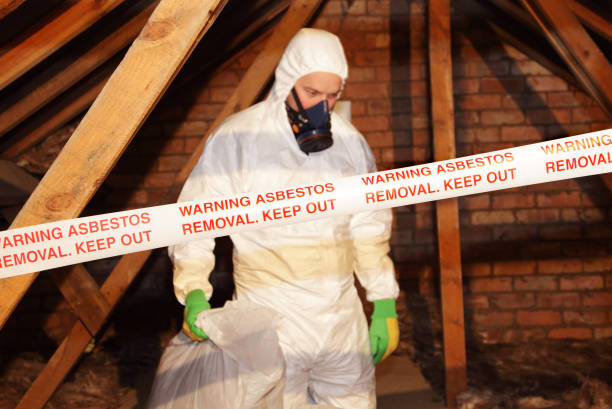 Asbestos removalist wearing protective gear while safely removing hazardous materials, demonstrating trusted asbestos removalist services.
